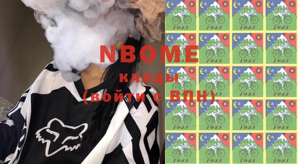 индика Краснотурьинск