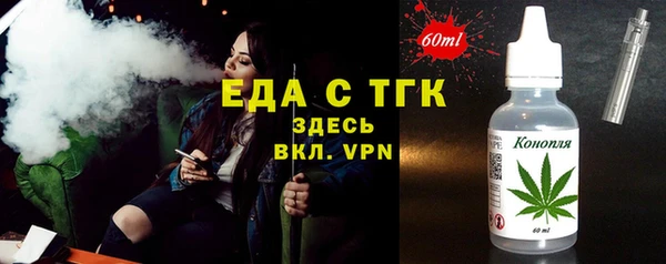 индика Краснотурьинск