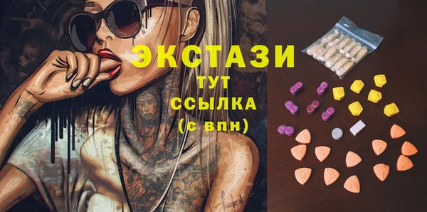 индика Краснотурьинск