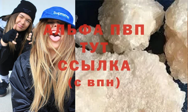 индика Краснотурьинск