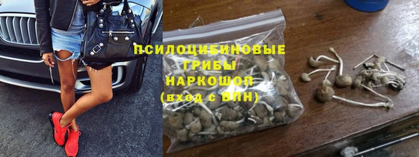 индика Краснотурьинск