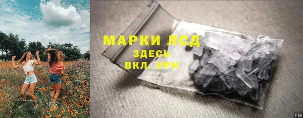 индика Краснотурьинск
