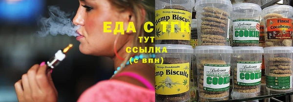 индика Краснотурьинск