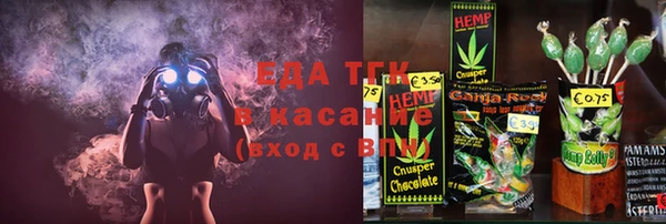 индика Краснотурьинск