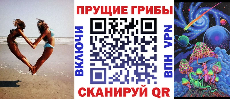 Купить где  Онега  Галлюциногенные грибы GOLDEN TEACHER 